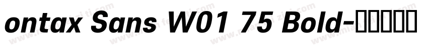 ontax Sans W01 75 Bold字体转换